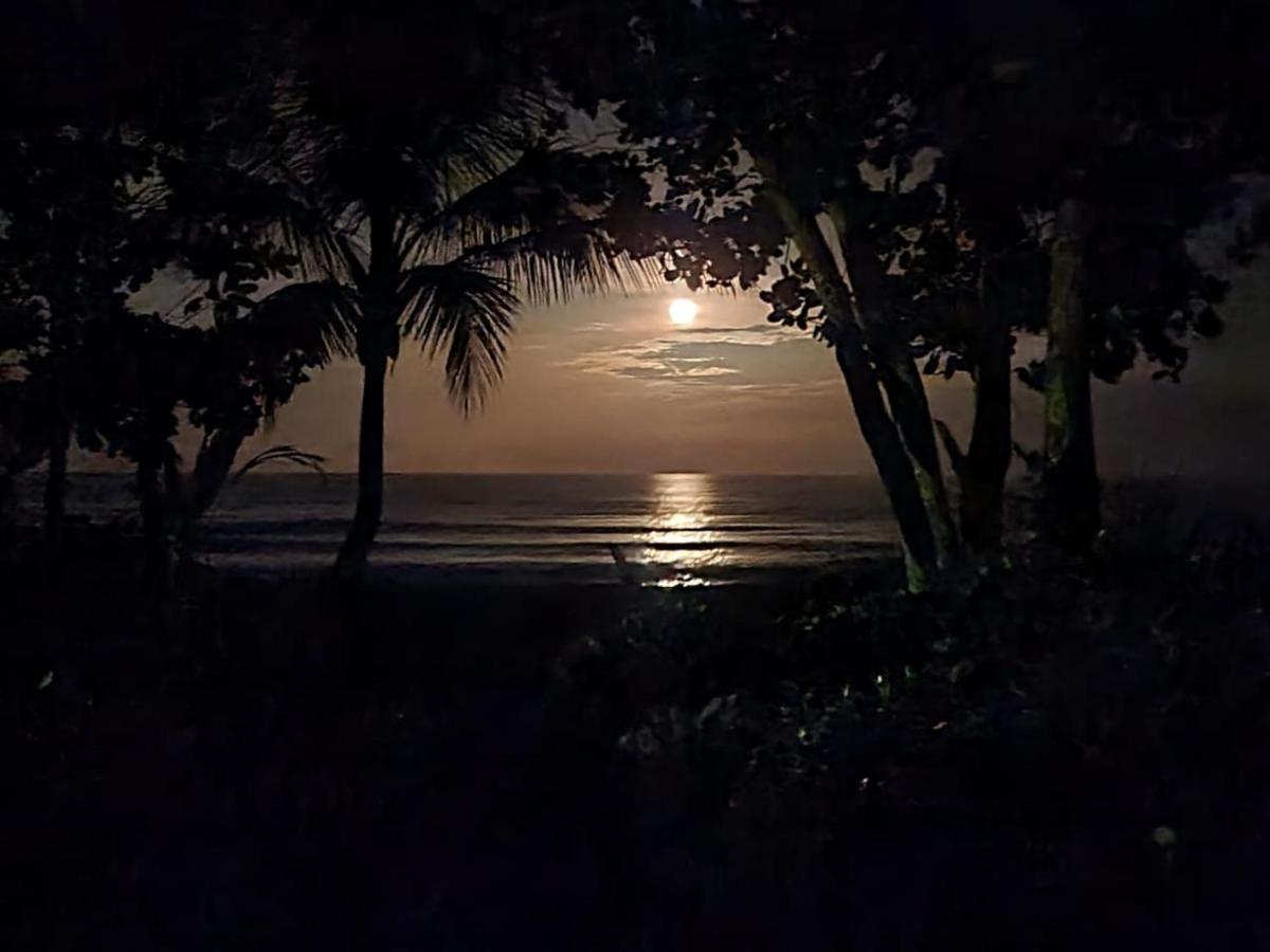 Cabinas El Muellecito Tortuguero Eksteriør billede