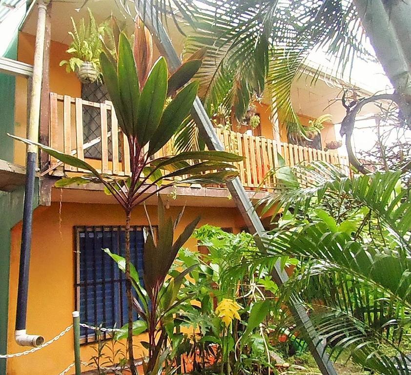 Cabinas El Muellecito Tortuguero Eksteriør billede