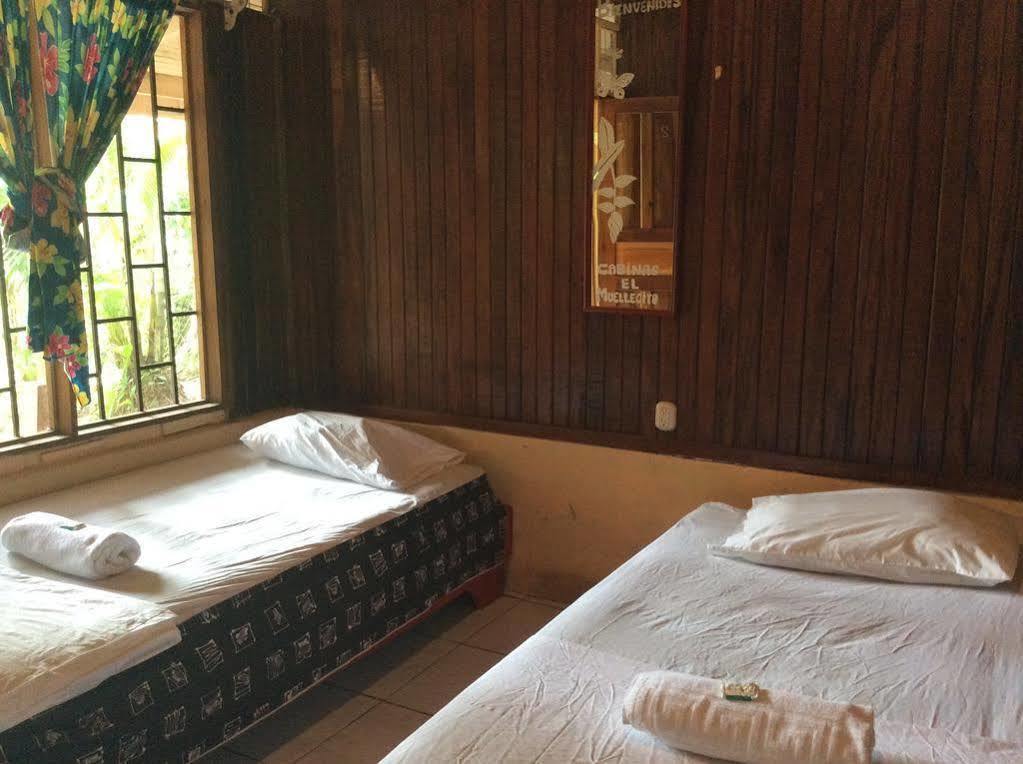 Cabinas El Muellecito Tortuguero Eksteriør billede