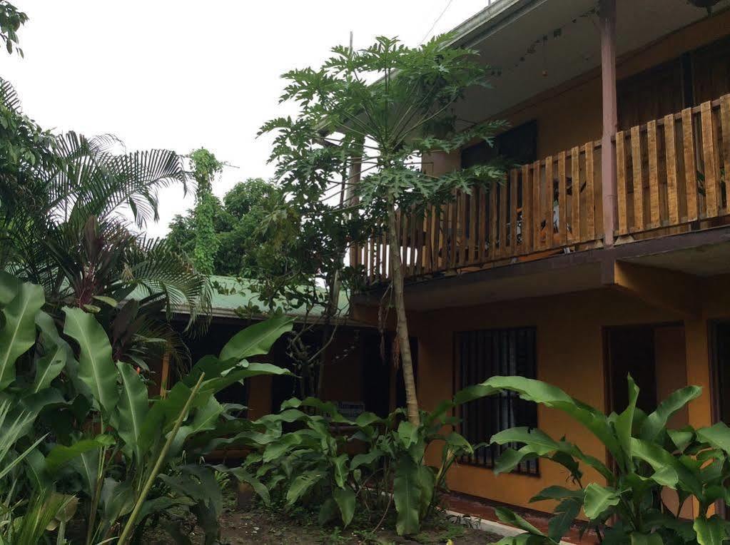 Cabinas El Muellecito Hotel Tortuguero Eksteriør billede