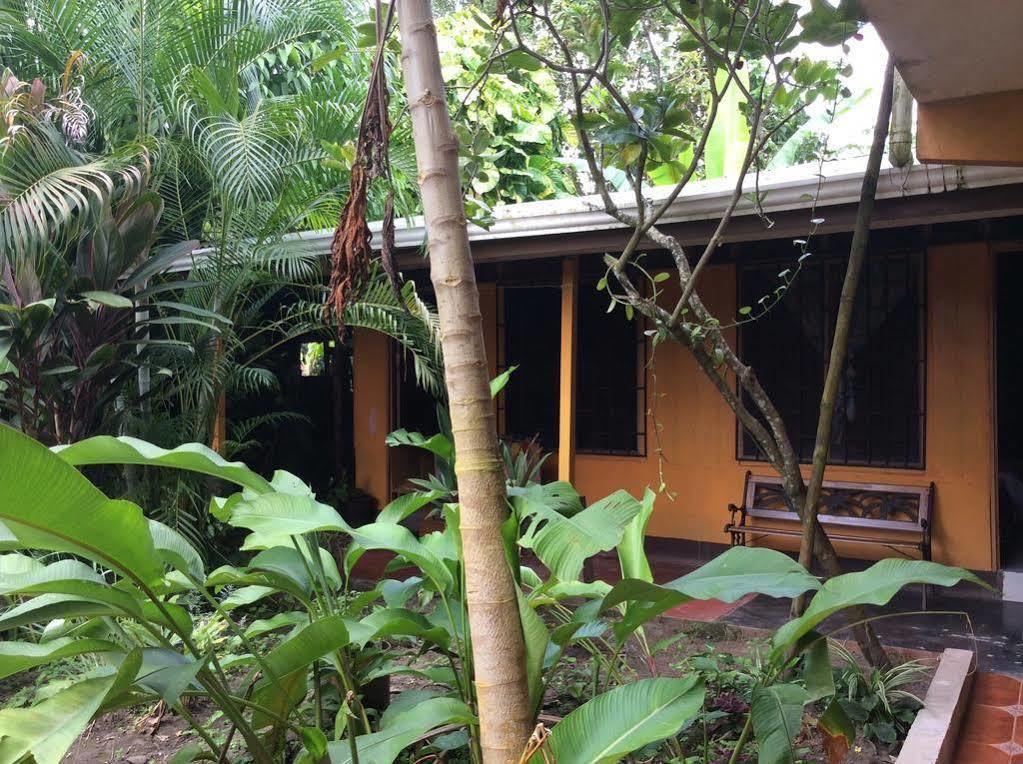 Cabinas El Muellecito Tortuguero Eksteriør billede